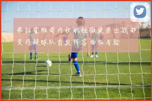 弗拉霍维奇内收肌轻微疲劳出战都灵存疑球队首发阵容面临考验