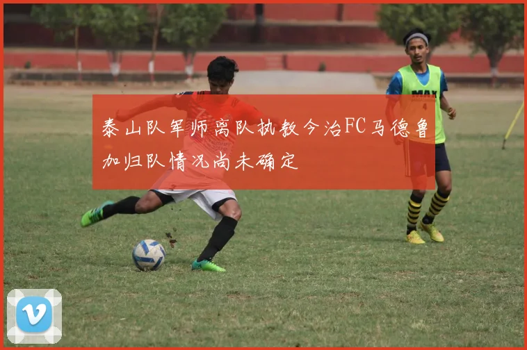 泰山队军师离队执教今治FC马德鲁加归队情况尚未确定