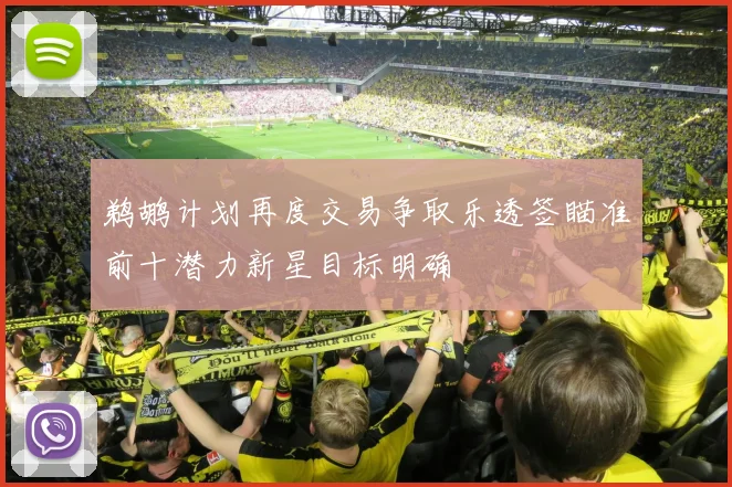 鹈鹕计划再度交易争取乐透签瞄准前十潜力新星目标明确